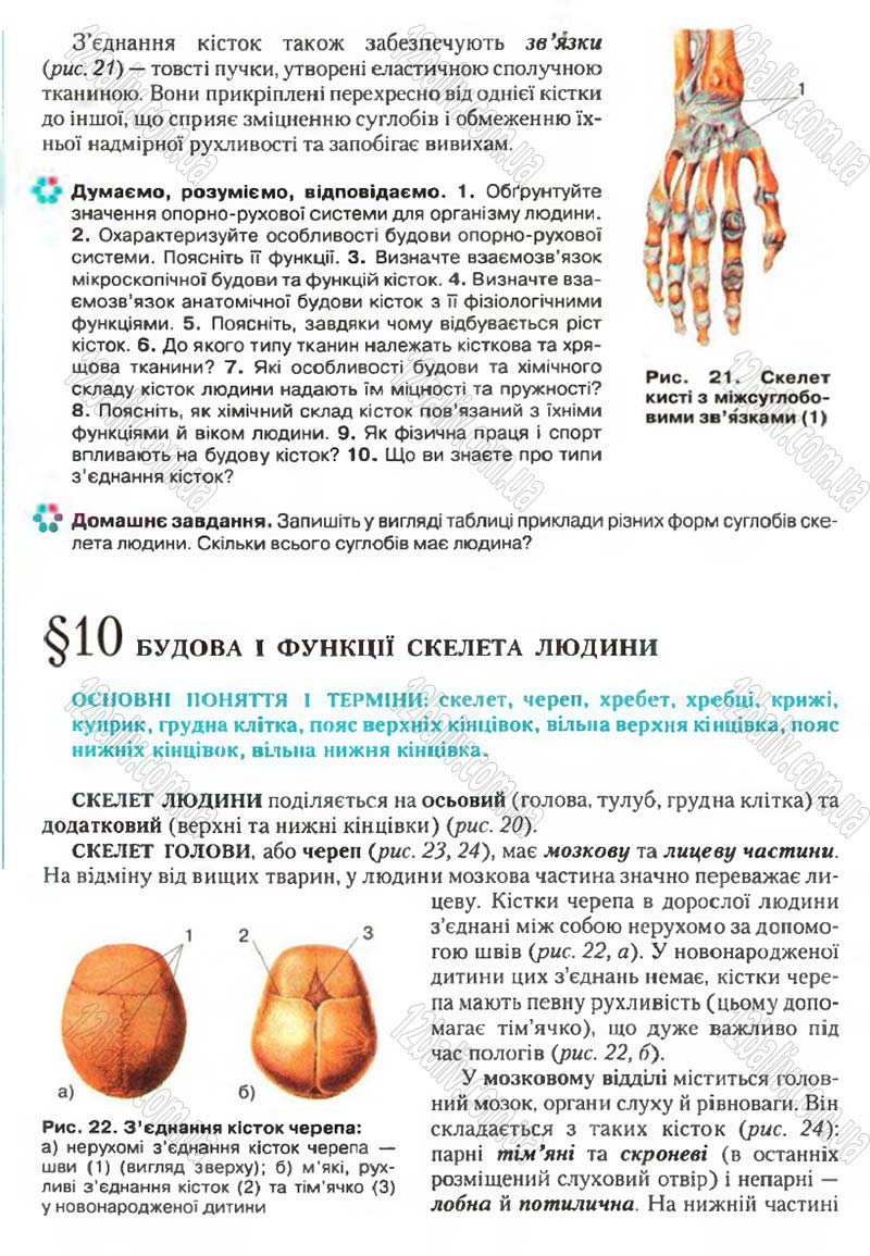 Сторінка 29 - Підручник Біологія 9 клас С.В. Страшко, Л.Г. Горяна, В.Г. Білик, С.А. Ігнатенко 2009