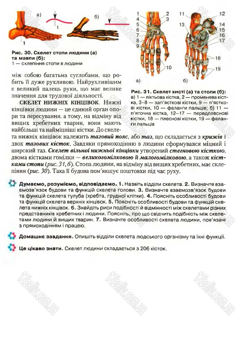 Сторінка 32 - Підручник Біологія 9 клас С.В. Страшко, Л.Г. Горяна, В.Г. Білик, С.А. Ігнатенко 2009