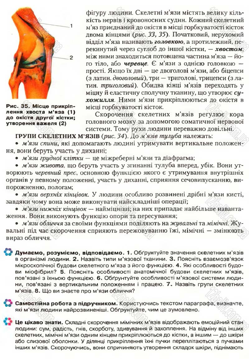 Сторінка 35 - Підручник Біологія 9 клас С.В. Страшко, Л.Г. Горяна, В.Г. Білик, С.А. Ігнатенко 2009