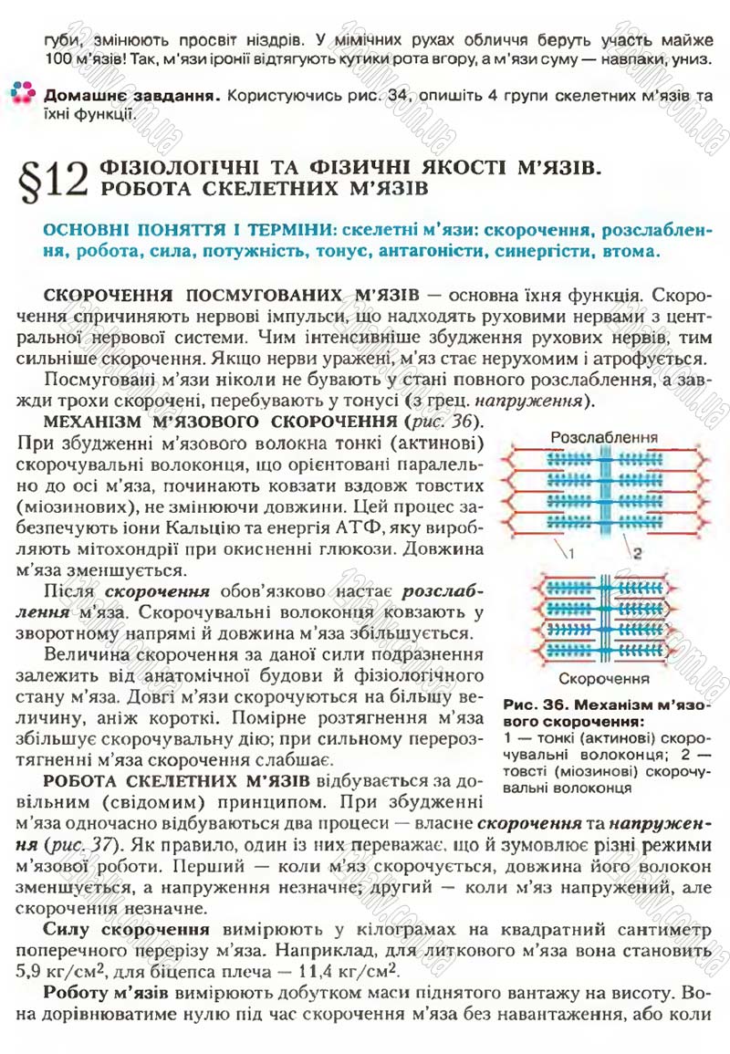 Сторінка 36 - Підручник Біологія 9 клас С.В. Страшко, Л.Г. Горяна, В.Г. Білик, С.А. Ігнатенко 2009