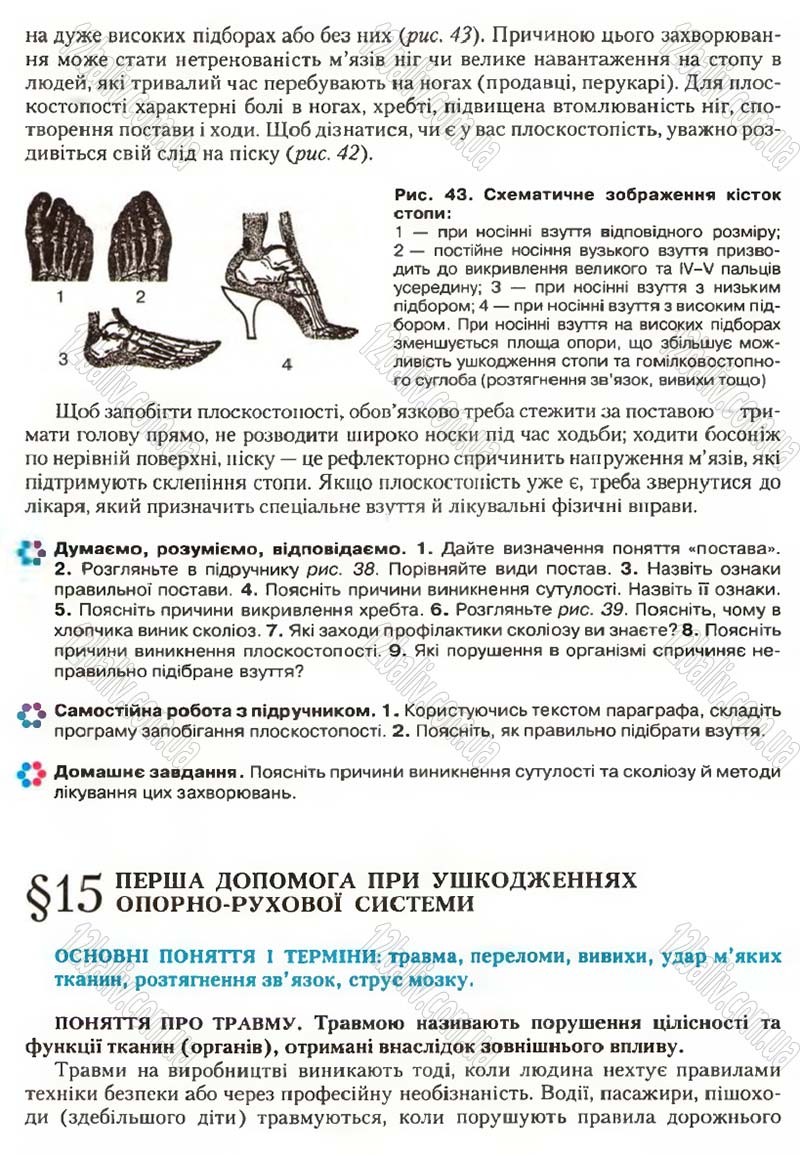 Сторінка 43 - Підручник Біологія 9 клас С.В. Страшко, Л.Г. Горяна, В.Г. Білик, С.А. Ігнатенко 2009