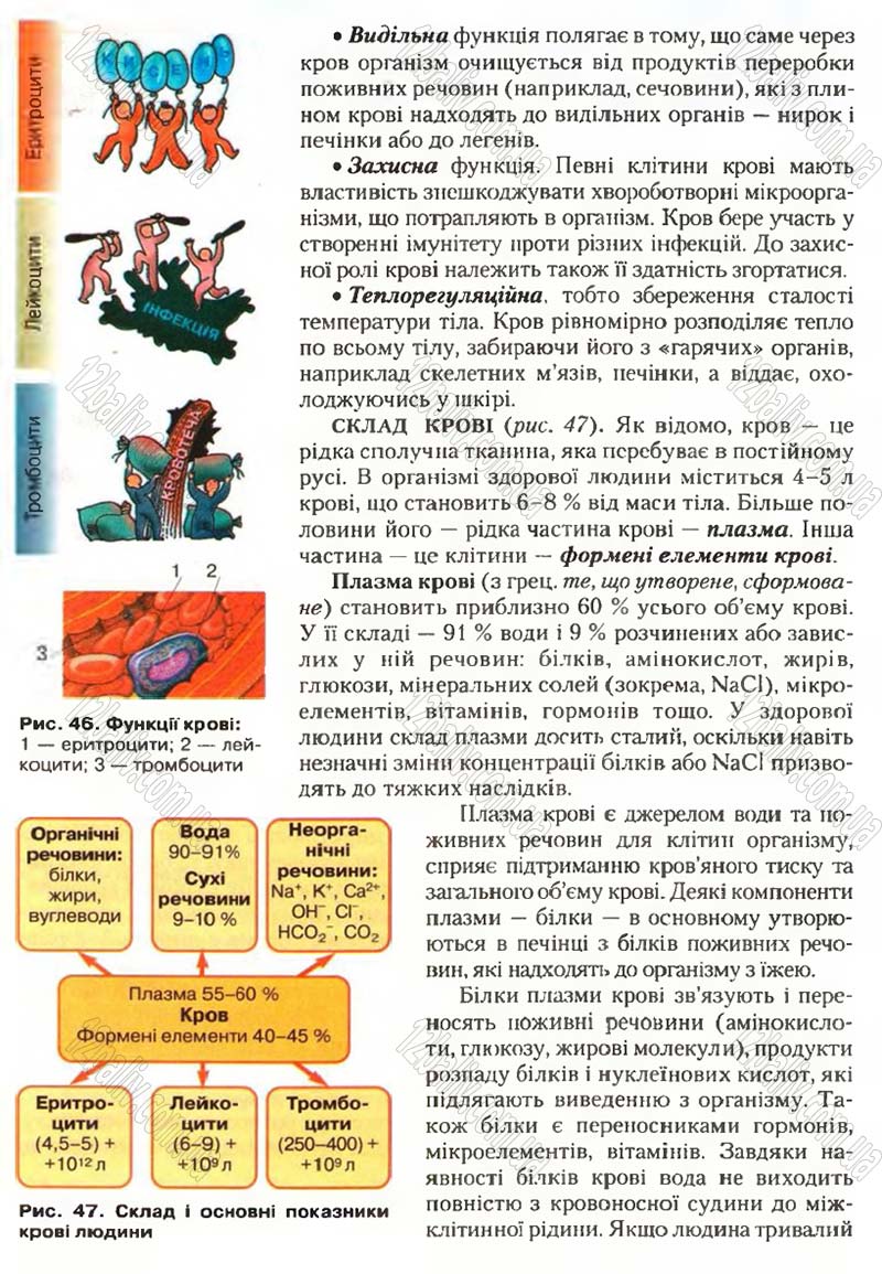 Сторінка 47 - Підручник Біологія 9 клас С.В. Страшко, Л.Г. Горяна, В.Г. Білик, С.А. Ігнатенко 2009