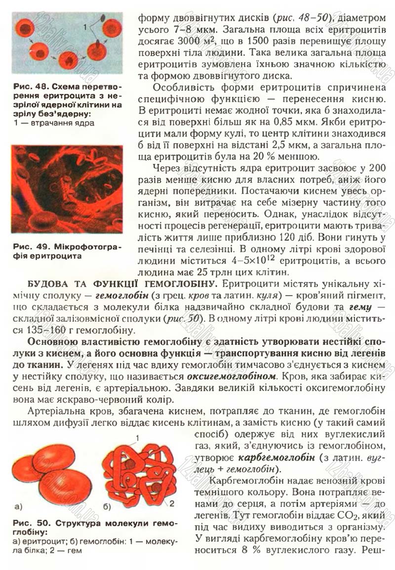 Сторінка 49 - Підручник Біологія 9 клас С.В. Страшко, Л.Г. Горяна, В.Г. Білик, С.А. Ігнатенко 2009