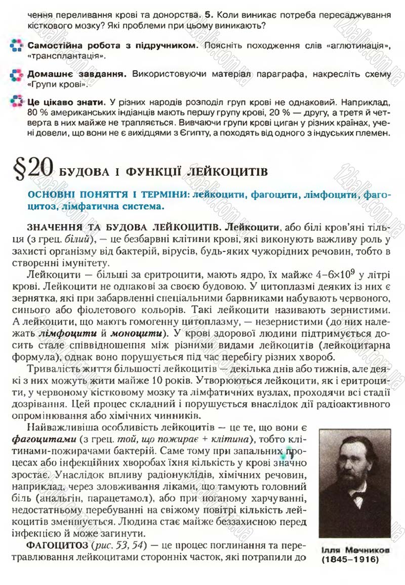 Сторінка 56 - Підручник Біологія 9 клас С.В. Страшко, Л.Г. Горяна, В.Г. Білик, С.А. Ігнатенко 2009