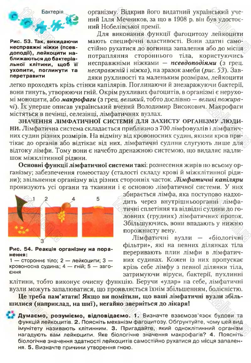 Сторінка 57 - Підручник Біологія 9 клас С.В. Страшко, Л.Г. Горяна, В.Г. Білик, С.А. Ігнатенко 2009