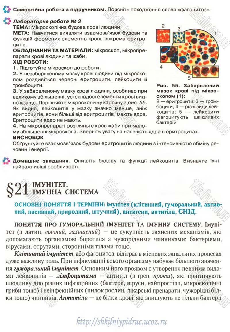 Сторінка 58 - Підручник Біологія 9 клас С.В. Страшко, Л.Г. Горяна, В.Г. Білик, С.А. Ігнатенко 2009
