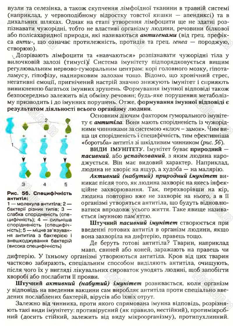 Сторінка 59 - Підручник Біологія 9 клас С.В. Страшко, Л.Г. Горяна, В.Г. Білик, С.А. Ігнатенко 2009