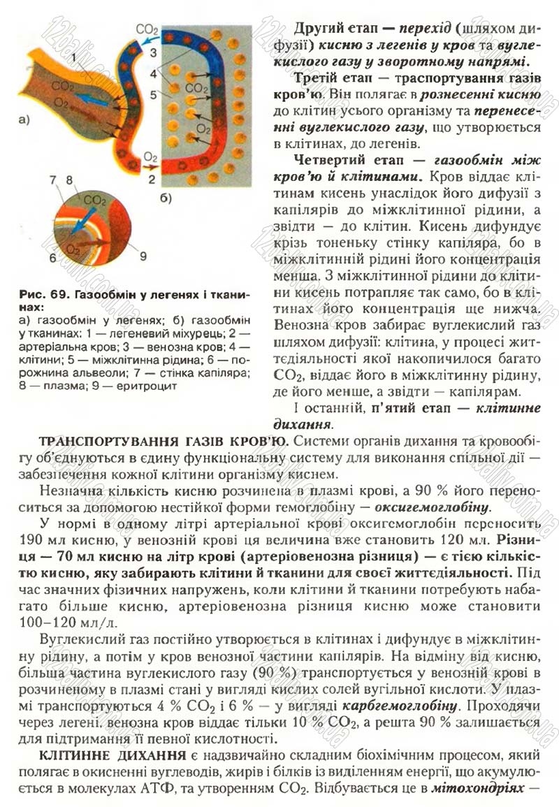 Сторінка 81 - Підручник Біологія 9 клас С.В. Страшко, Л.Г. Горяна, В.Г. Білик, С.А. Ігнатенко 2009