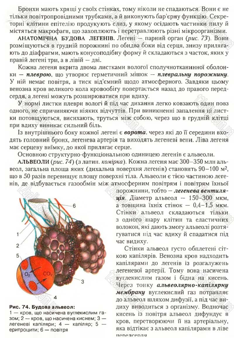 Сторінка 85 - Підручник Біологія 9 клас С.В. Страшко, Л.Г. Горяна, В.Г. Білик, С.А. Ігнатенко 2009