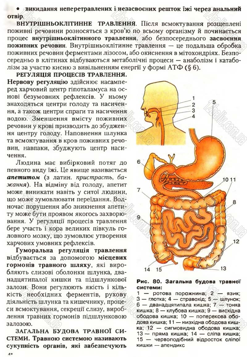 Сторінка 96 - Підручник Біологія 9 клас С.В. Страшко, Л.Г. Горяна, В.Г. Білик, С.А. Ігнатенко 2009