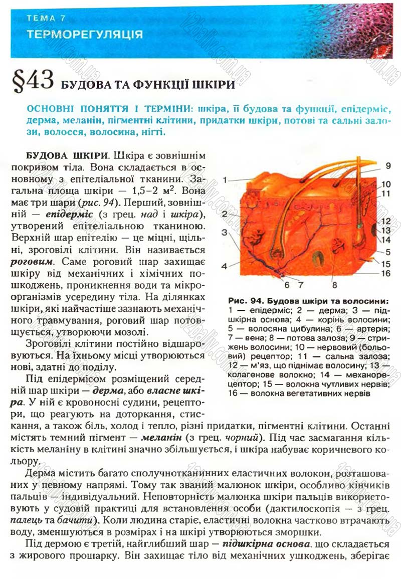 Сторінка 120 - Підручник Біологія 9 клас С.В. Страшко, Л.Г. Горяна, В.Г. Білик, С.А. Ігнатенко 2009
