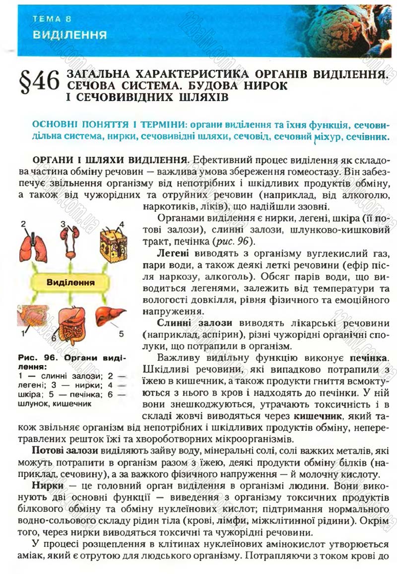 Сторінка 129 - Підручник Біологія 9 клас С.В. Страшко, Л.Г. Горяна, В.Г. Білик, С.А. Ігнатенко 2009