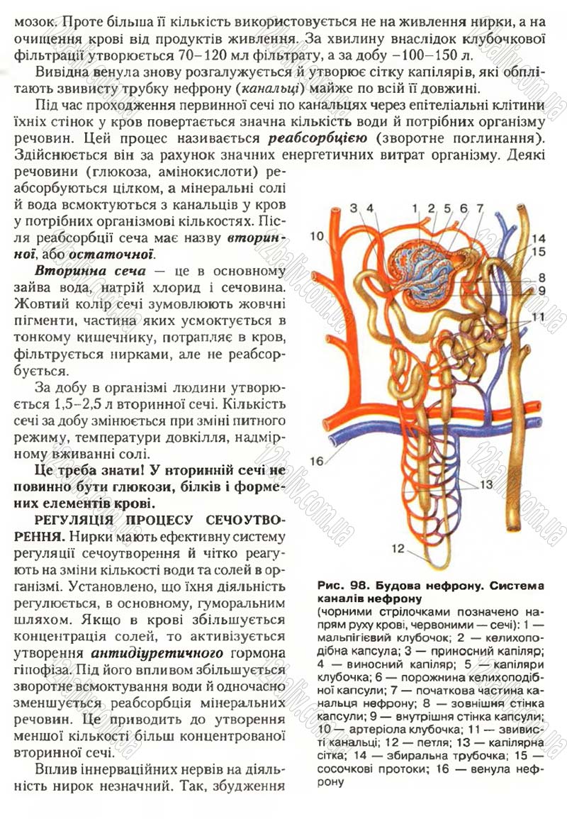 Сторінка 132 - Підручник Біологія 9 клас С.В. Страшко, Л.Г. Горяна, В.Г. Білик, С.А. Ігнатенко 2009