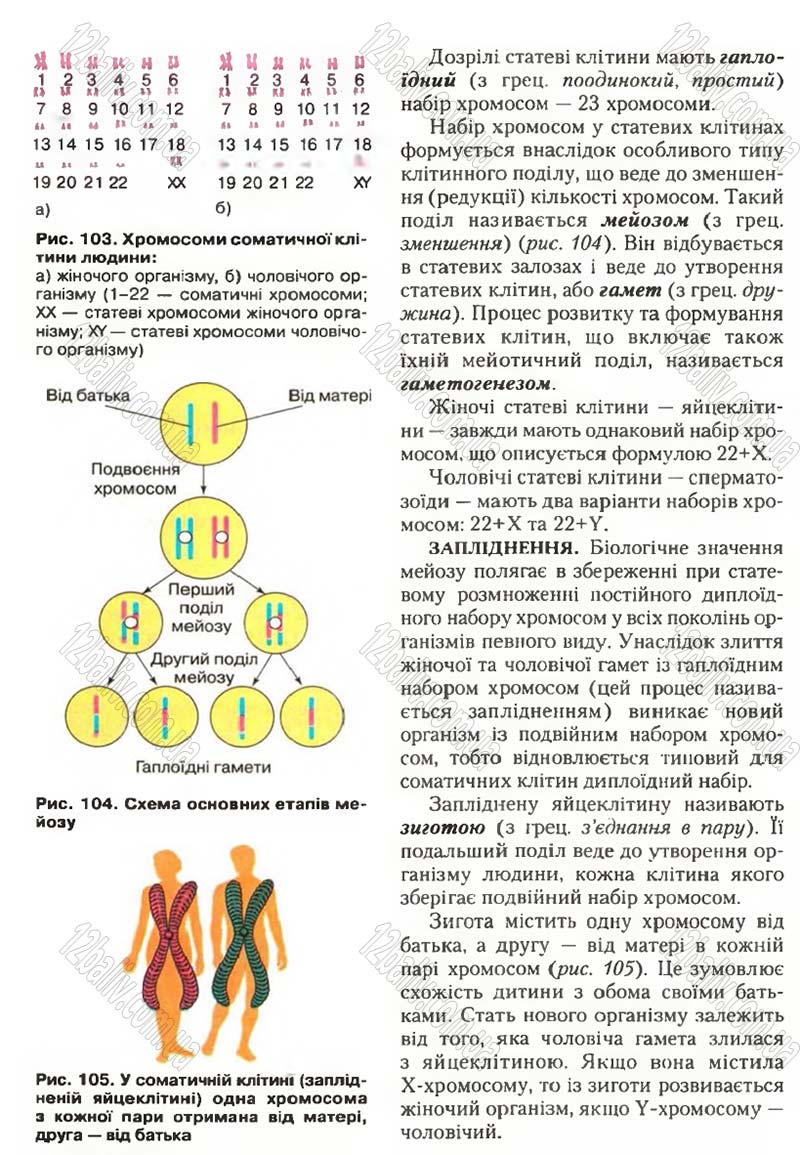 Сторінка 139 - Підручник Біологія 9 клас С.В. Страшко, Л.Г. Горяна, В.Г. Білик, С.А. Ігнатенко 2009
