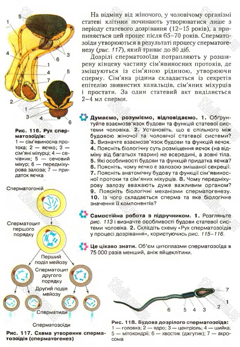 Сторінка 147 - Підручник Біологія 9 клас С.В. Страшко, Л.Г. Горяна, В.Г. Білик, С.А. Ігнатенко 2009