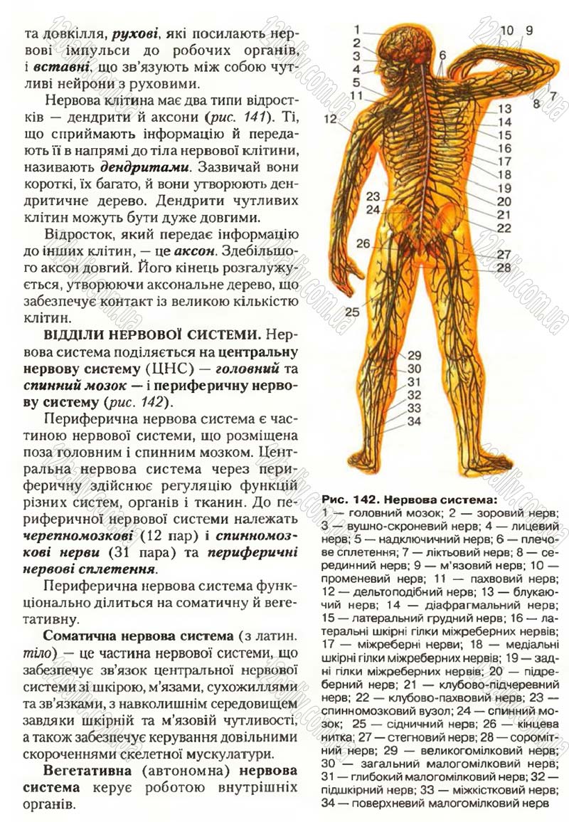 Сторінка 166 - Підручник Біологія 9 клас С.В. Страшко, Л.Г. Горяна, В.Г. Білик, С.А. Ігнатенко 2009