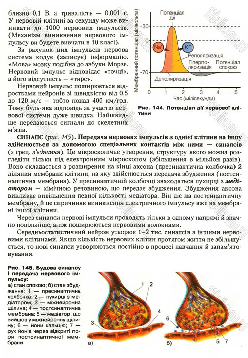 Сторінка 168 - Підручник Біологія 9 клас С.В. Страшко, Л.Г. Горяна, В.Г. Білик, С.А. Ігнатенко 2009