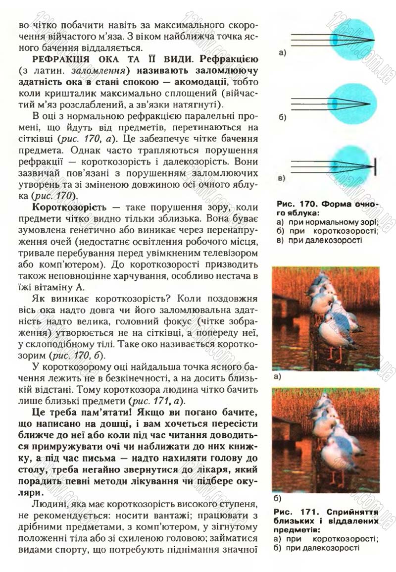 Сторінка 200 - Підручник Біологія 9 клас С.В. Страшко, Л.Г. Горяна, В.Г. Білик, С.А. Ігнатенко 2009