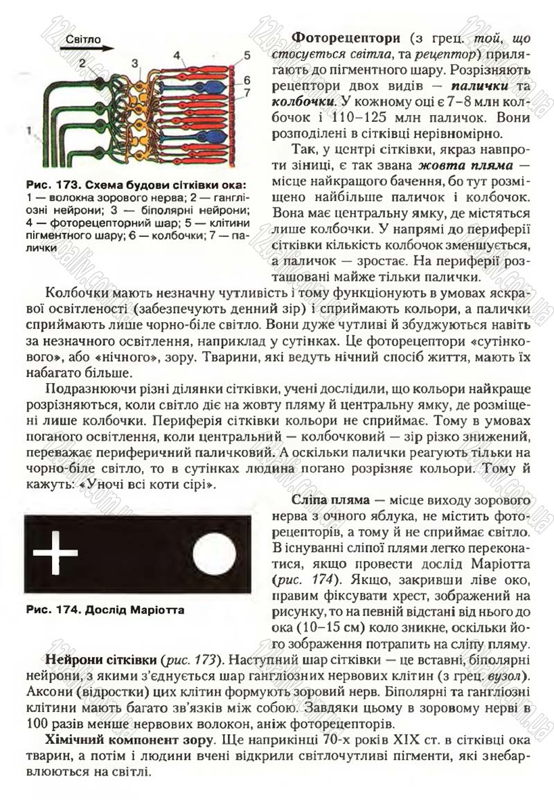 Сторінка 203 - Підручник Біологія 9 клас С.В. Страшко, Л.Г. Горяна, В.Г. Білик, С.А. Ігнатенко 2009