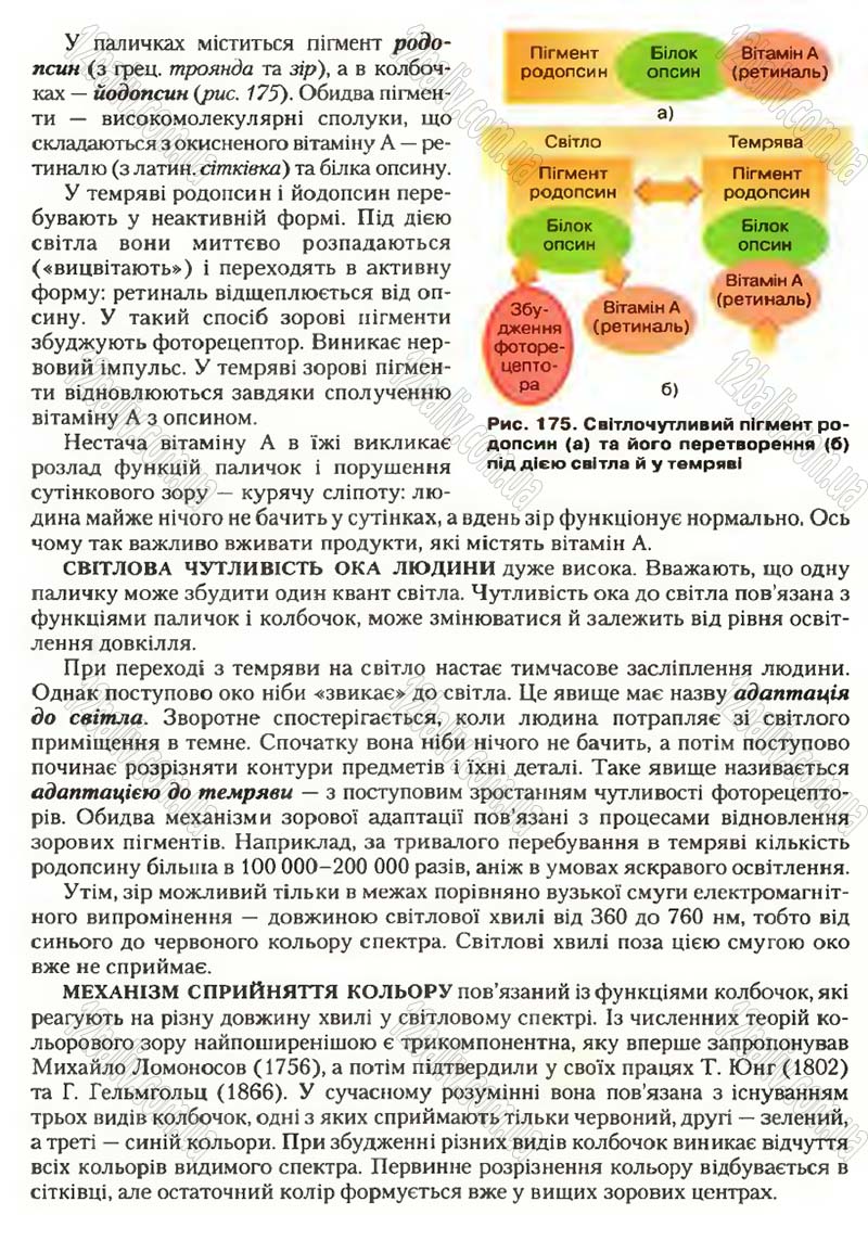 Сторінка 204 - Підручник Біологія 9 клас С.В. Страшко, Л.Г. Горяна, В.Г. Білик, С.А. Ігнатенко 2009