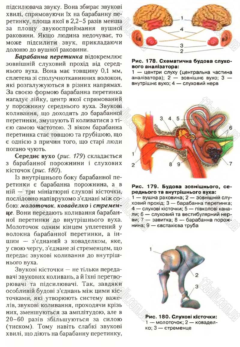 Сторінка 210 - Підручник Біологія 9 клас С.В. Страшко, Л.Г. Горяна, В.Г. Білик, С.А. Ігнатенко 2009