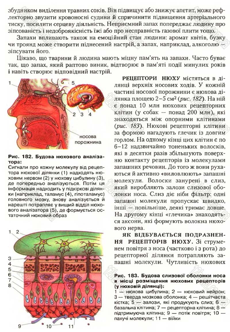 Сторінка 215 - Підручник Біологія 9 клас С.В. Страшко, Л.Г. Горяна, В.Г. Білик, С.А. Ігнатенко 2009