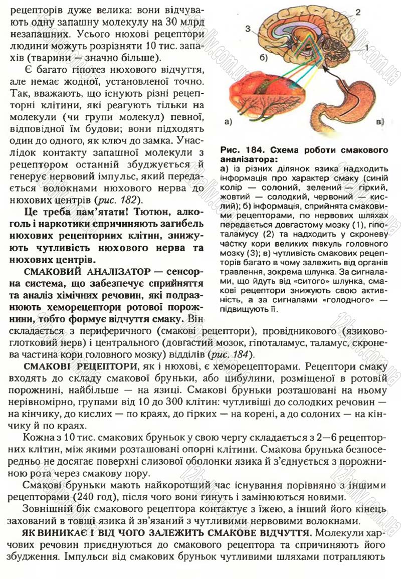 Сторінка 216 - Підручник Біологія 9 клас С.В. Страшко, Л.Г. Горяна, В.Г. Білик, С.А. Ігнатенко 2009