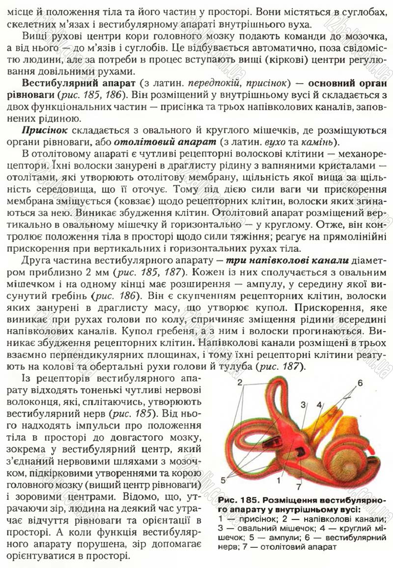 Сторінка 218 - Підручник Біологія 9 клас С.В. Страшко, Л.Г. Горяна, В.Г. Білик, С.А. Ігнатенко 2009