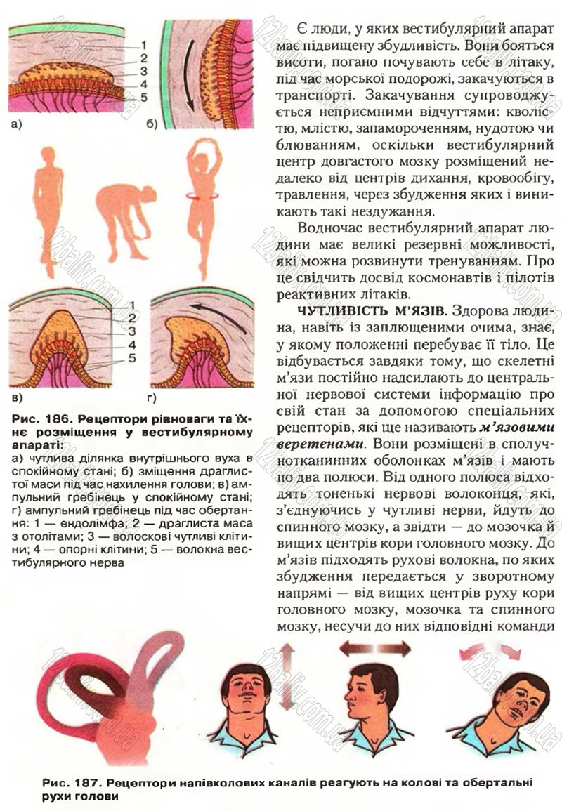 Сторінка 219 - Підручник Біологія 9 клас С.В. Страшко, Л.Г. Горяна, В.Г. Білик, С.А. Ігнатенко 2009