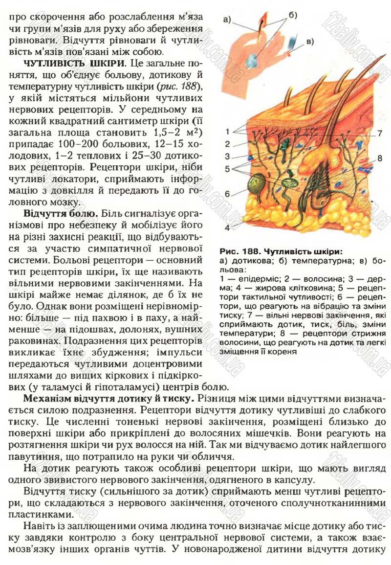 Сторінка 220 - Підручник Біологія 9 клас С.В. Страшко, Л.Г. Горяна, В.Г. Білик, С.А. Ігнатенко 2009