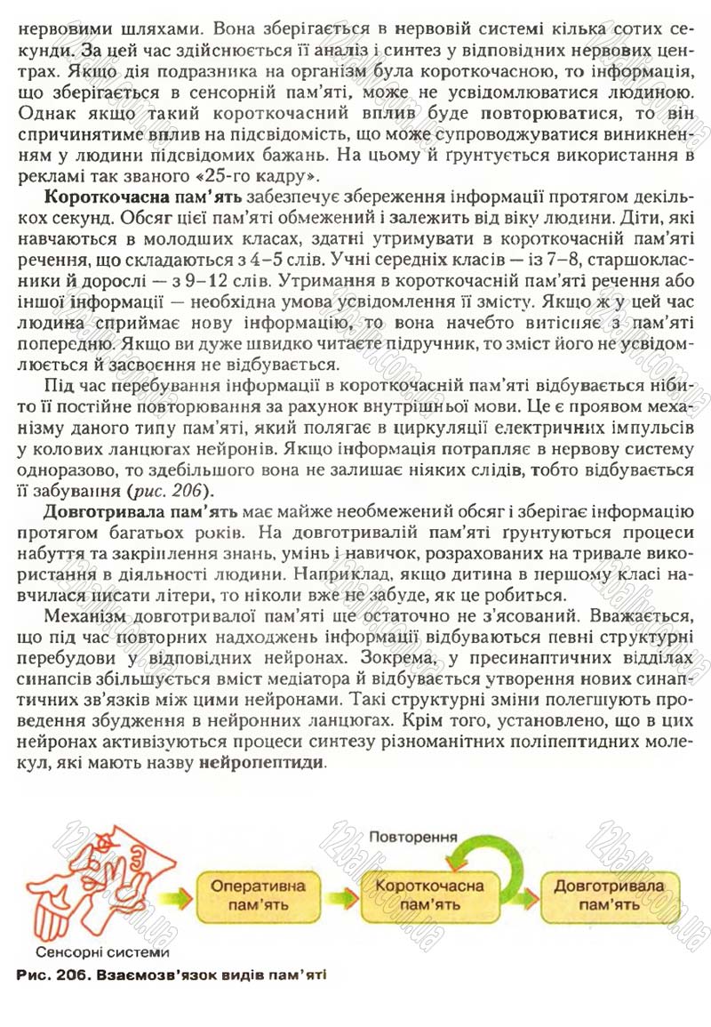 Сторінка 240 - Підручник Біологія 9 клас С.В. Страшко, Л.Г. Горяна, В.Г. Білик, С.А. Ігнатенко 2009