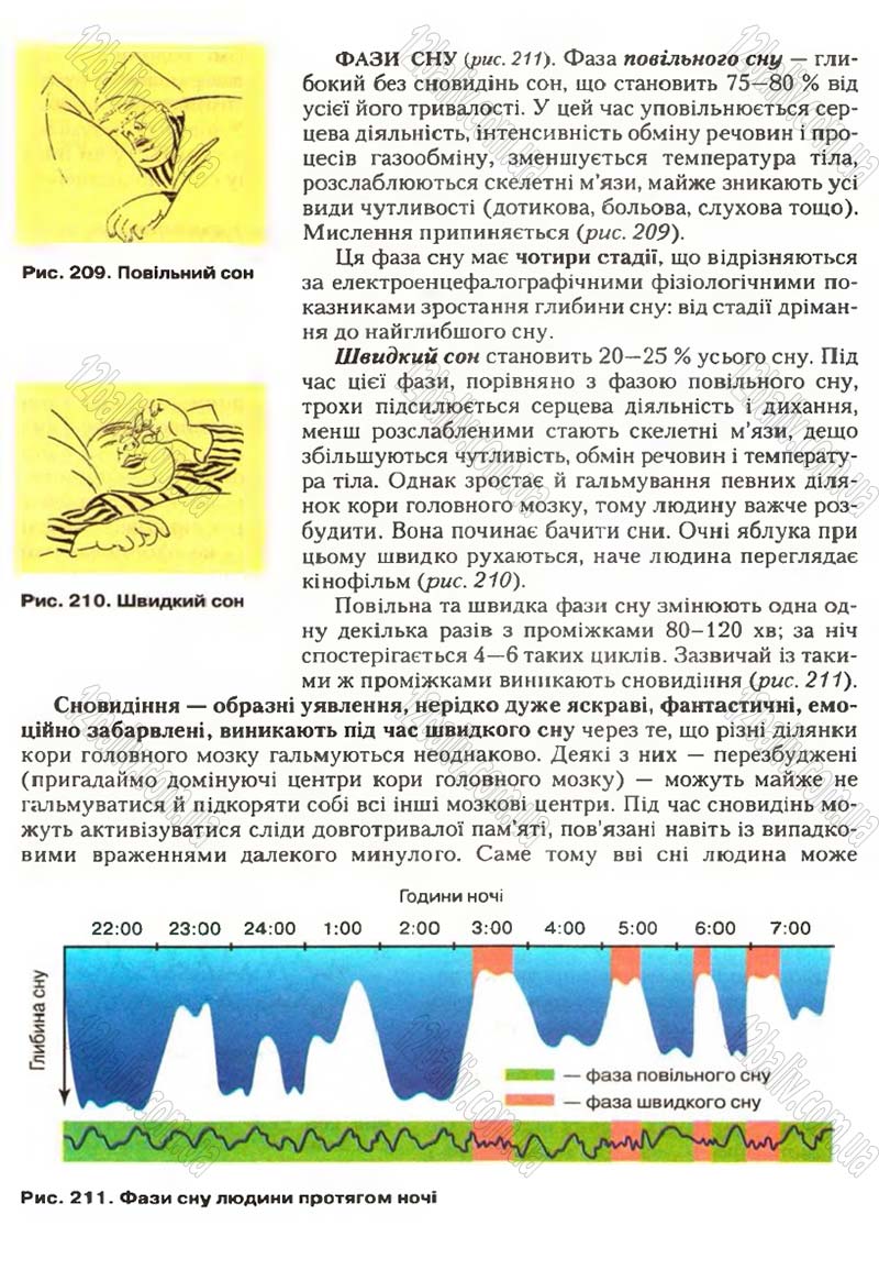 Сторінка 247 - Підручник Біологія 9 клас С.В. Страшко, Л.Г. Горяна, В.Г. Білик, С.А. Ігнатенко 2009