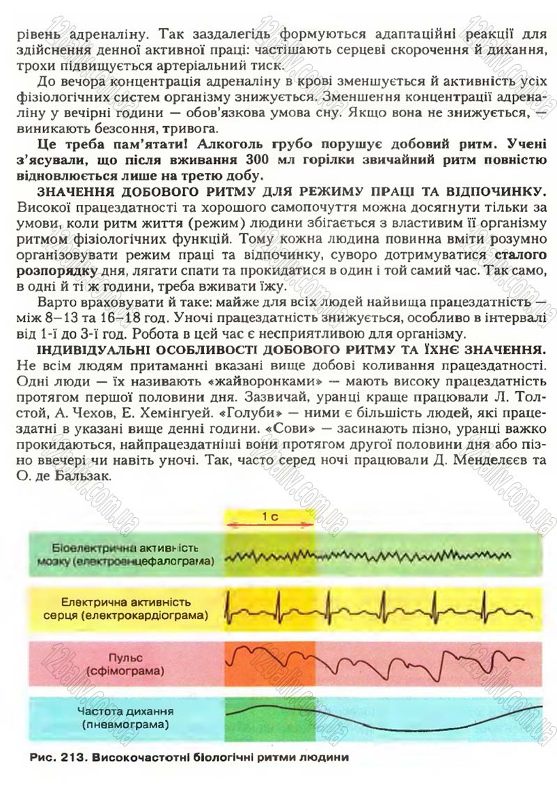Сторінка 251 - Підручник Біологія 9 клас С.В. Страшко, Л.Г. Горяна, В.Г. Білик, С.А. Ігнатенко 2009