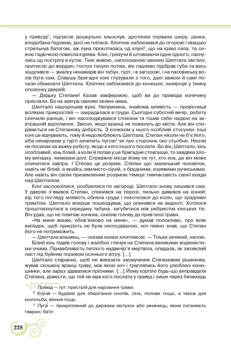 Сторінка 228 - Підручник Українська література 8 клас Коваленко 2021 - скачати онлайн