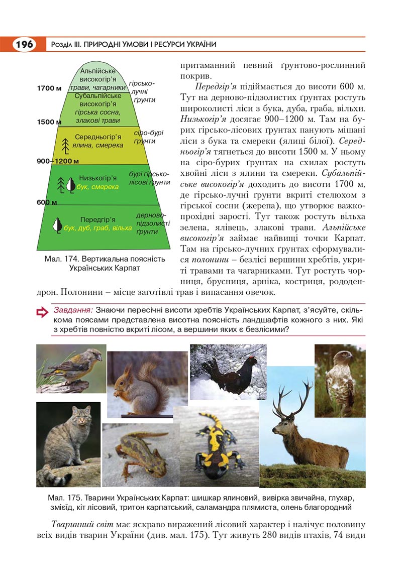 Сторінка 196 - Підручник Географія 8 клас Кобернік 2021 - скачати онлайн
