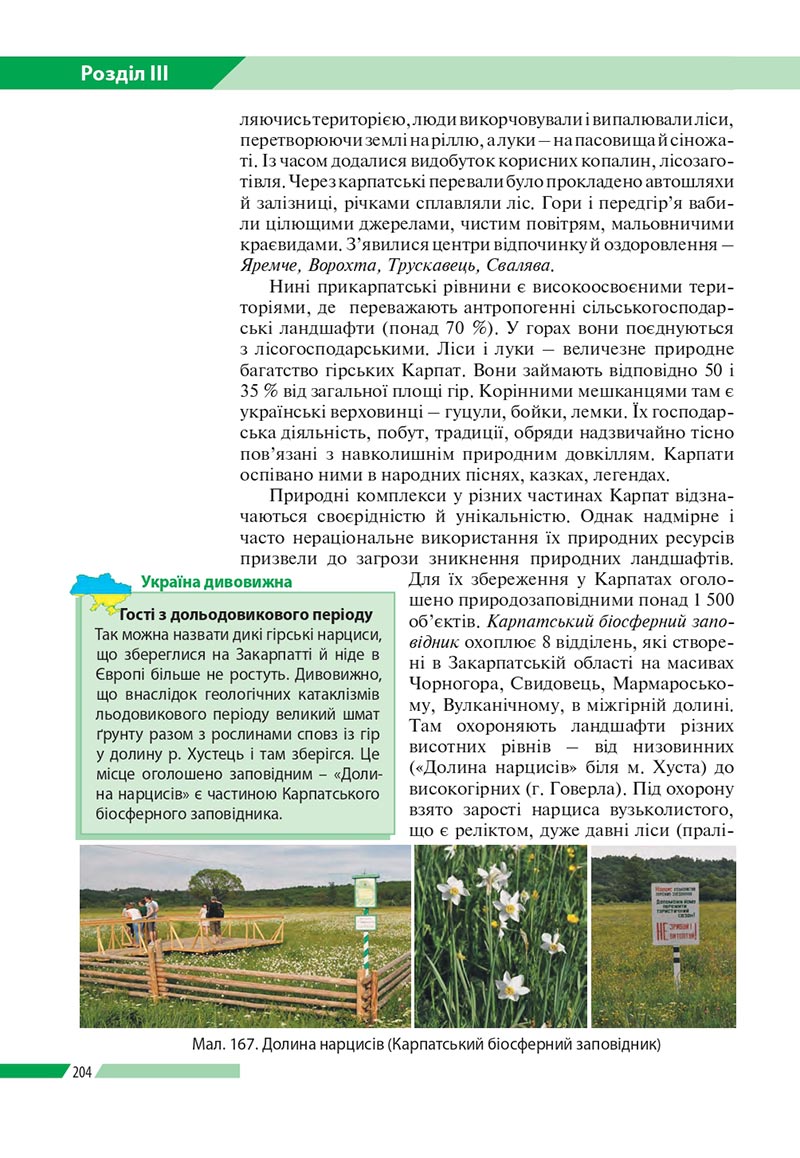 Сторінка 204 - Підручник Географія 8 клас Бойко 2021 - скачати онлайн