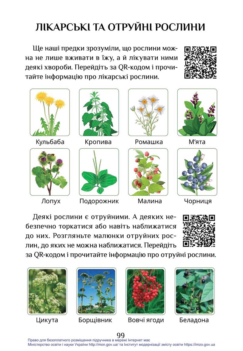 Сторінка 99 - Підручник Я досліджую світ 4 клас Воронцова Пономаренко 2021 - скачати