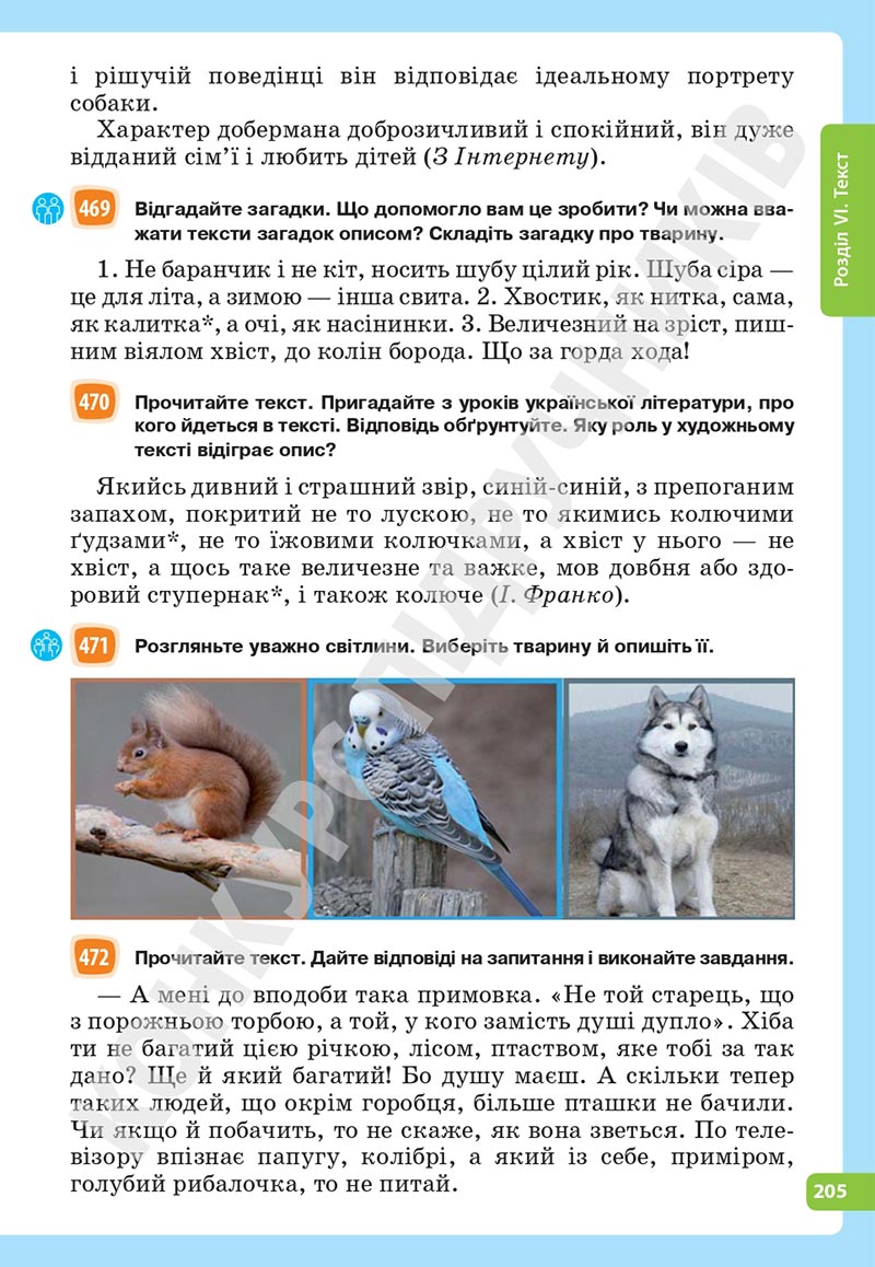 Сторінка 205 - Підручник Українська мова 5 клас Голуб Горошкіна 2022 - скачати, читати онлайн