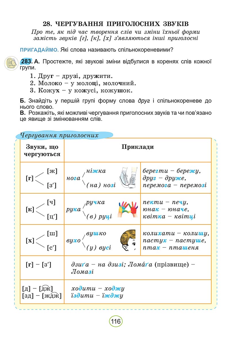 Сторінка 116 - Підручник Українська мова 5 клас Заболотний 2022 - скачати, читати онлайн
