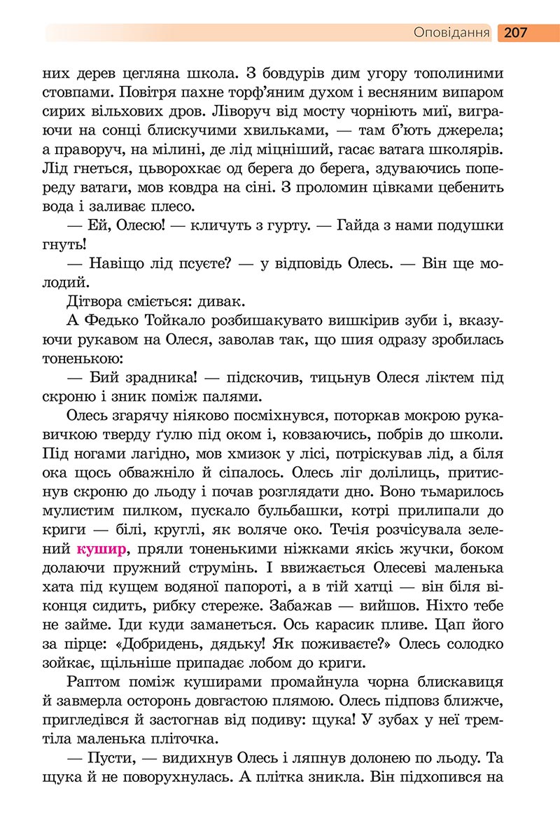 Сторінка 207 - Підручник Українська література 5 клас Архипова 2022 - скачати, читати онлайн