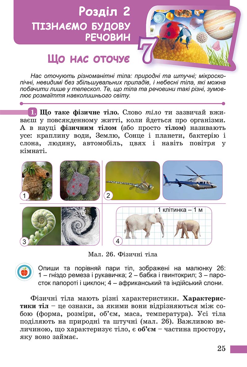 Сторінка 25 - Підручник Пізнаємо природу Біда Гільберг 2022 - скачати, читати онлайн