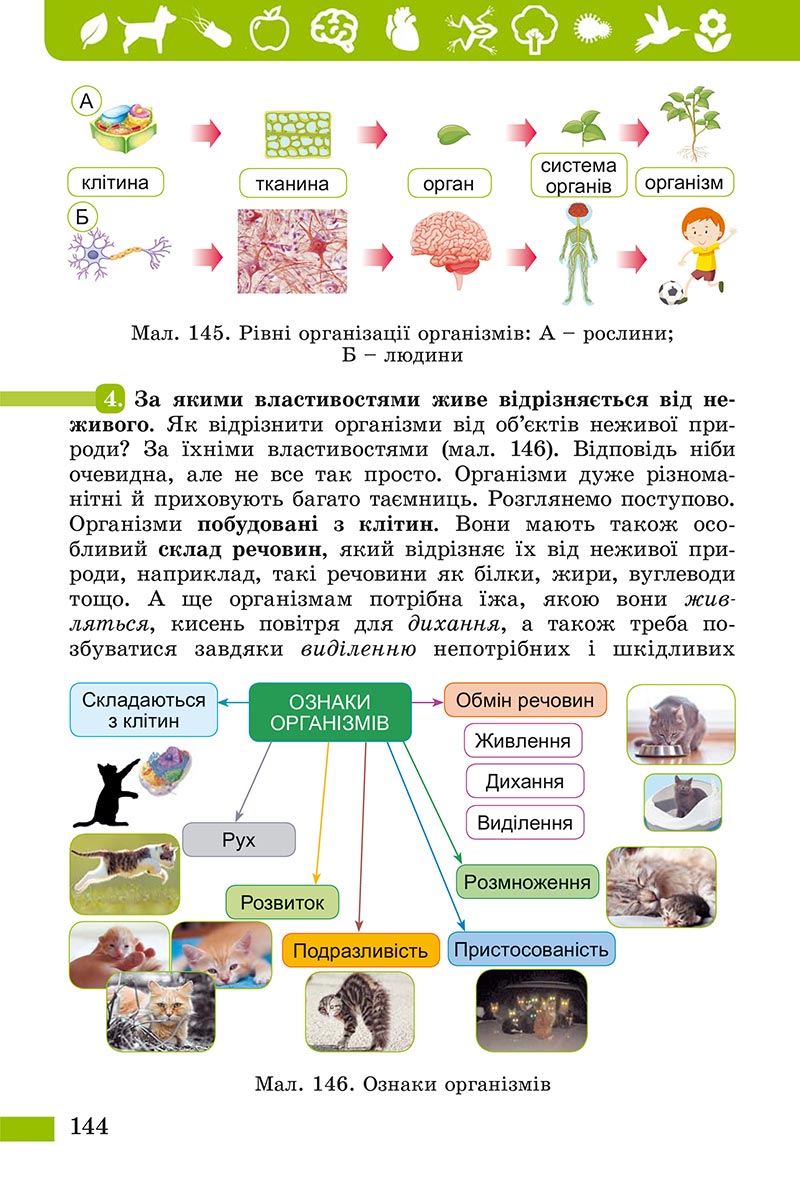 Сторінка 144 - Підручник Пізнаємо природу Біда Гільберг 2022 - скачати, читати онлайн