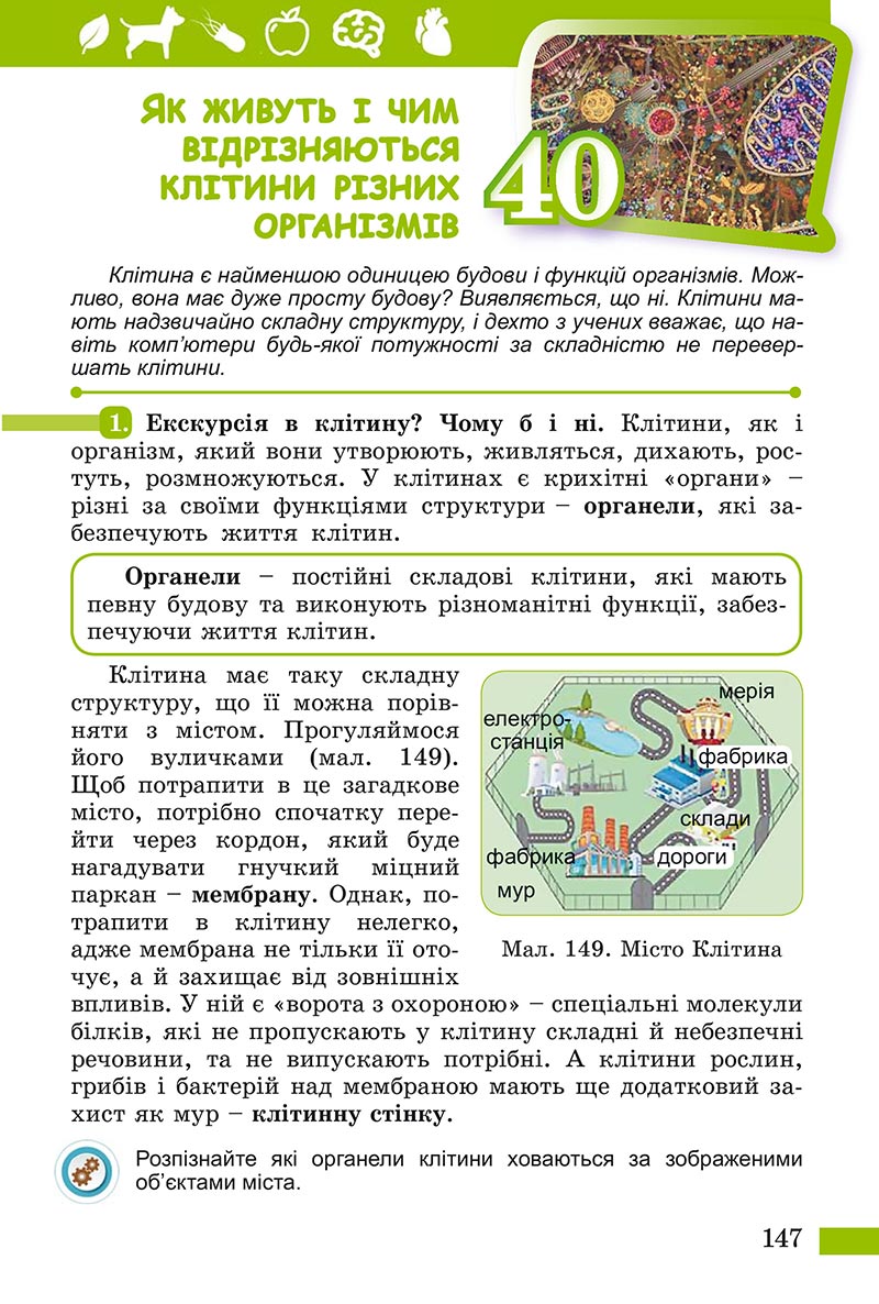 Сторінка 147 - Підручник Пізнаємо природу Біда Гільберг 2022 - скачати, читати онлайн