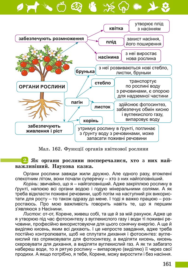 Сторінка 161 - Підручник Пізнаємо природу Біда Гільберг 2022 - скачати, читати онлайн
