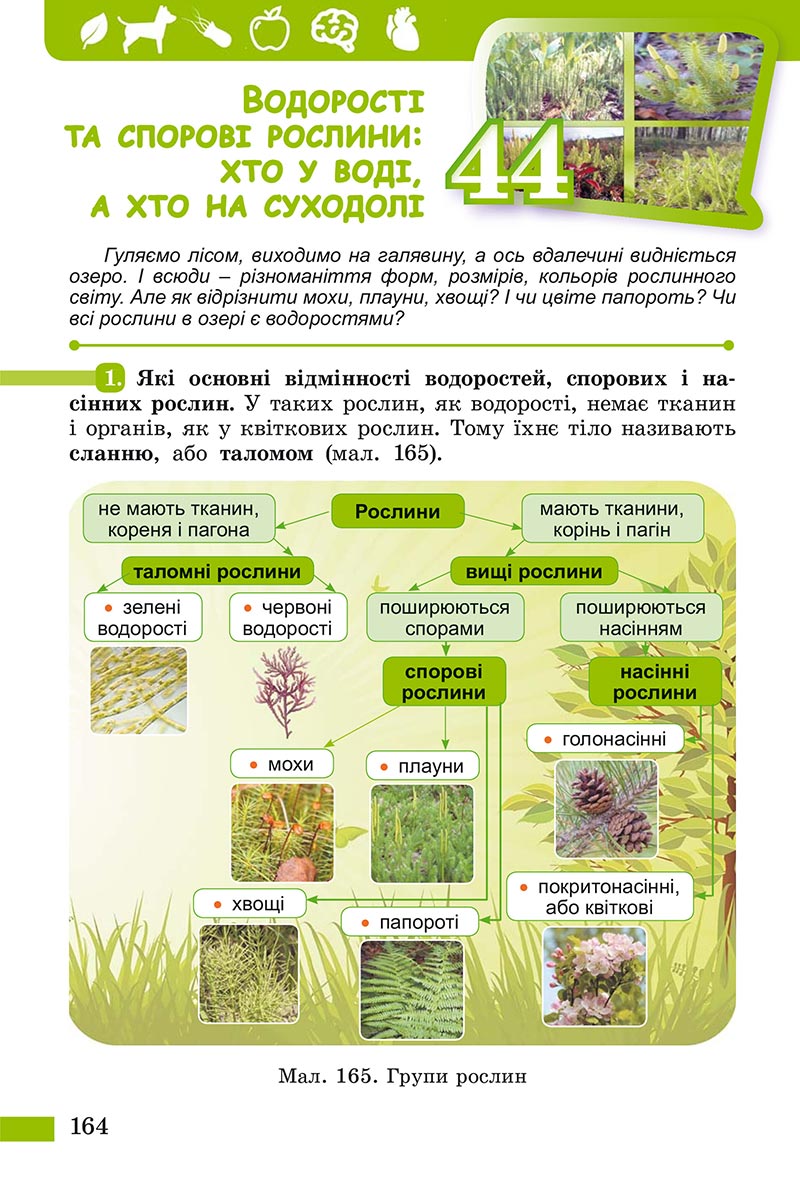 Сторінка 164 - Підручник Пізнаємо природу Біда Гільберг 2022 - скачати, читати онлайн