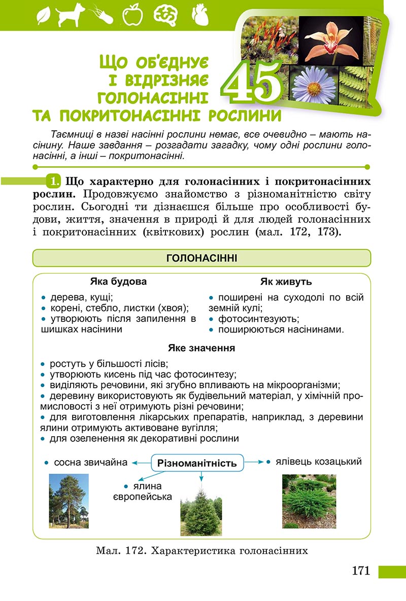 Сторінка 171 - Підручник Пізнаємо природу Біда Гільберг 2022 - скачати, читати онлайн