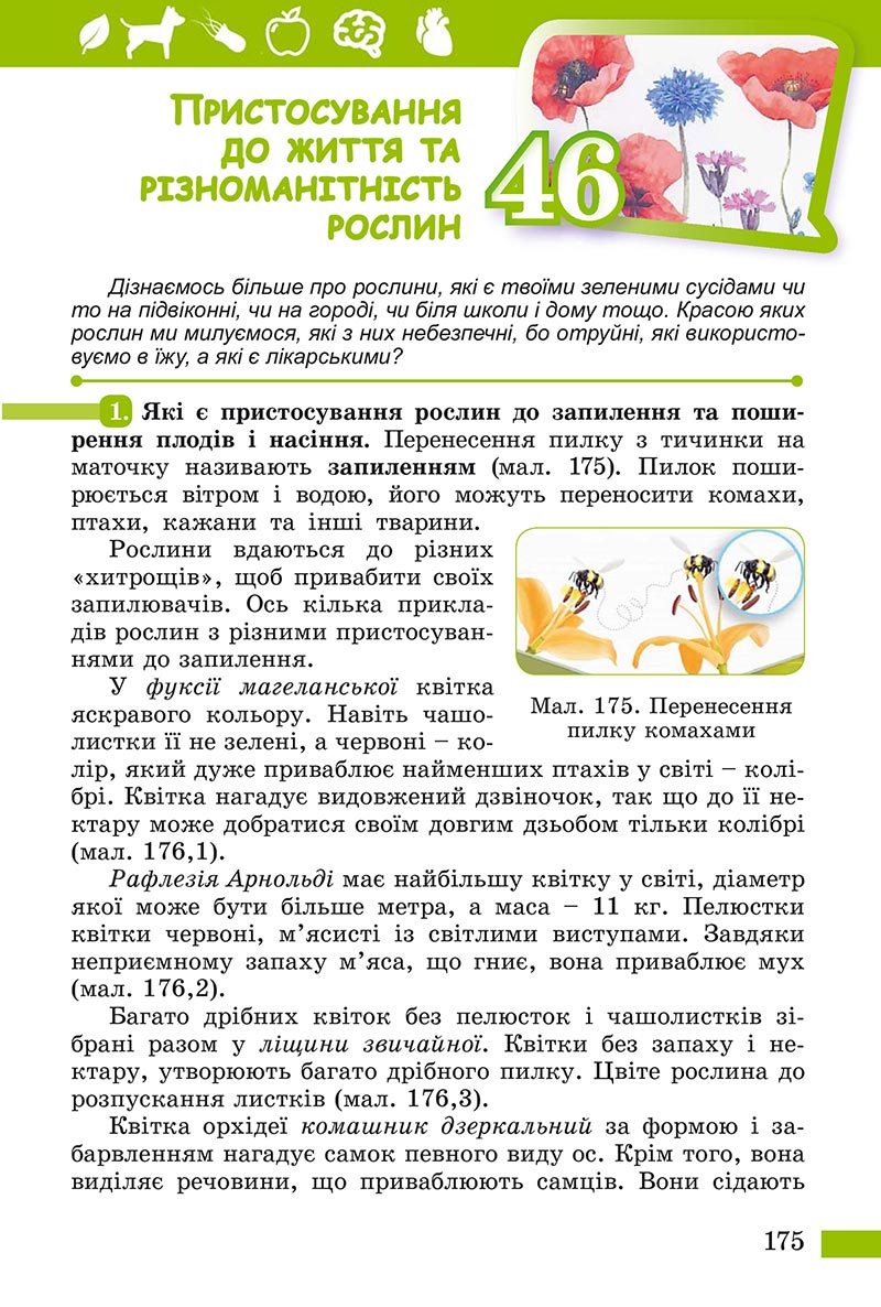 Сторінка 175 - Підручник Пізнаємо природу Біда Гільберг 2022 - скачати, читати онлайн