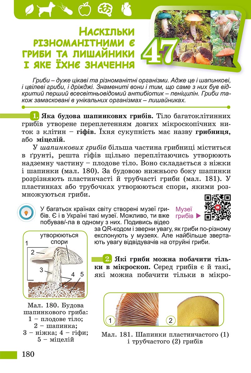 Сторінка 180 - Підручник Пізнаємо природу Біда Гільберг 2022 - скачати, читати онлайн