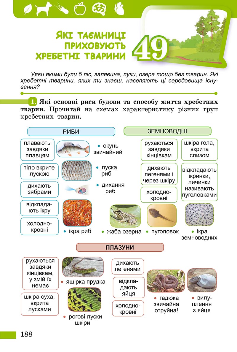 Сторінка 188 - Підручник Пізнаємо природу Біда Гільберг 2022 - скачати, читати онлайн