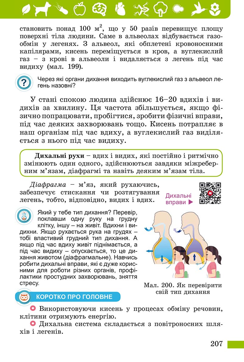 Сторінка 207 - Підручник Пізнаємо природу Біда Гільберг 2022 - скачати, читати онлайн
